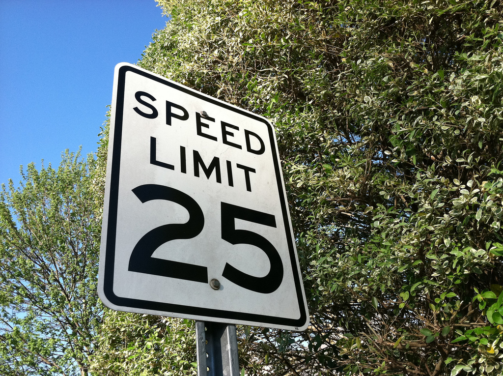 Speed Limits, Speed Bumps, and Road Signs
