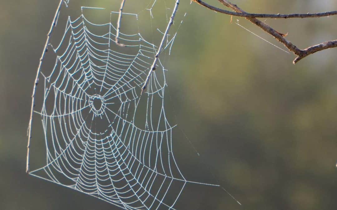 We Built a New Website!