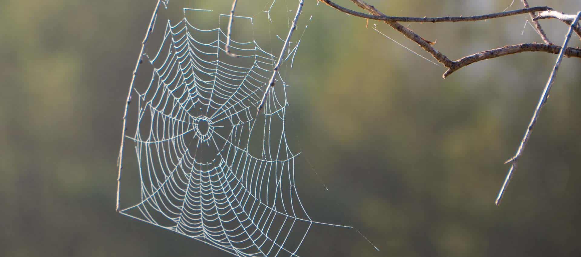 We Built a New Website!