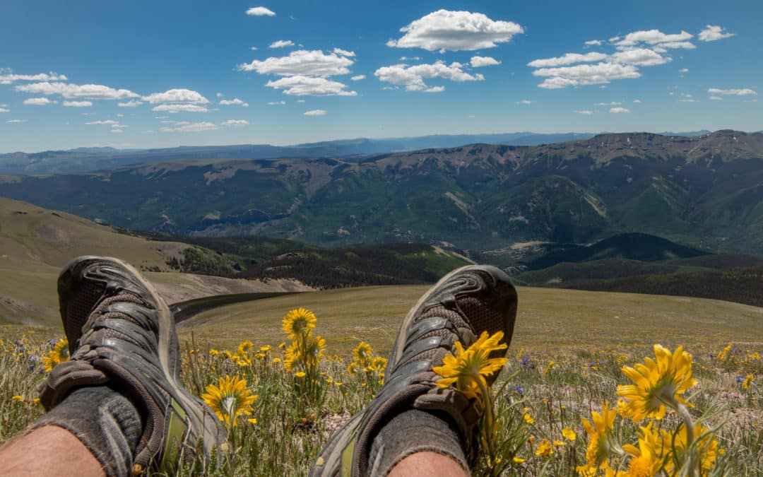 Summer Days: The lessons I’ve learned From Them