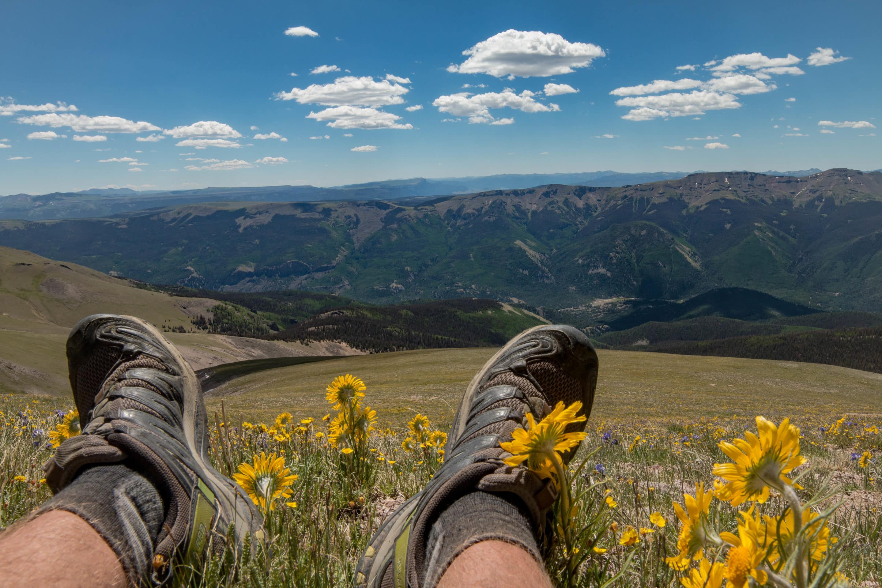 Summer Days: The lessons I’ve learned From Them