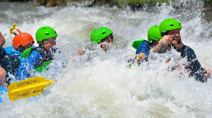 Bighorn Sheep Canyon